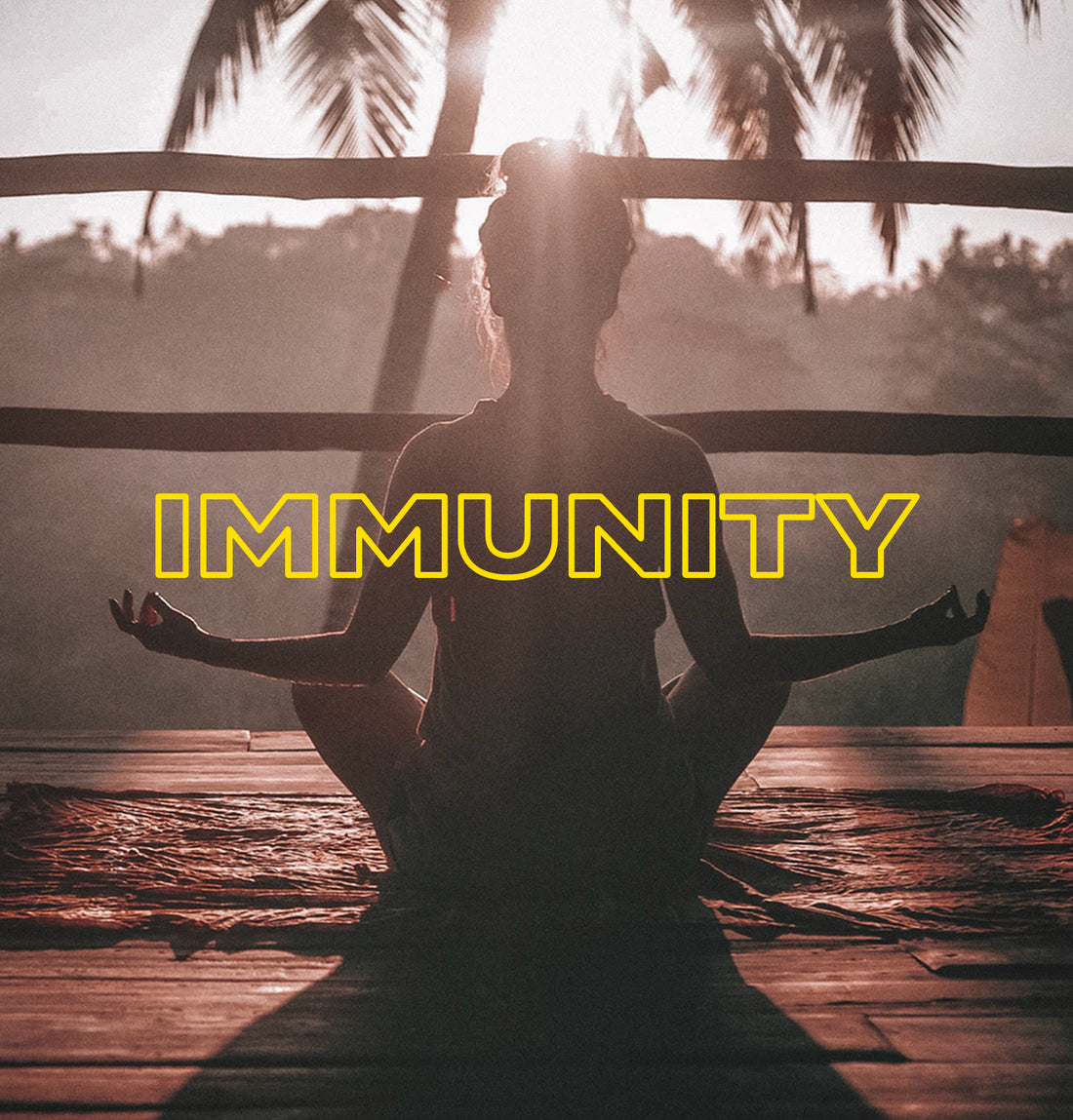 Let's Talk About Immunity